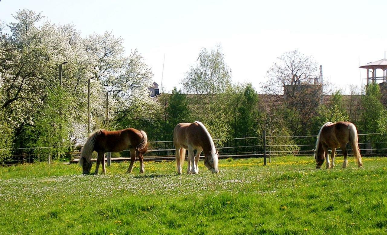 Reiterbauernhof Schoenlehenhof Mank المظهر الخارجي الصورة